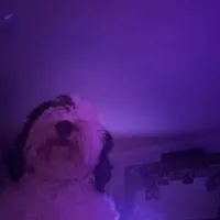 一段美好的时光
