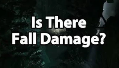 No Fall Damage