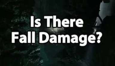 No Fall Damage