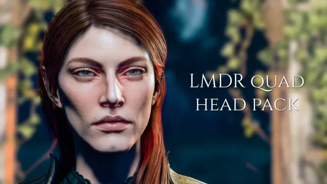 LMDR 四头包