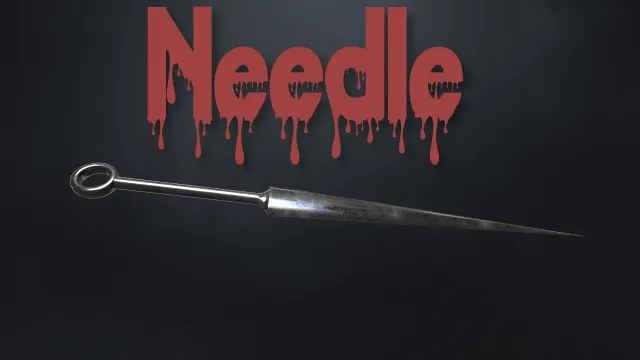 Needle