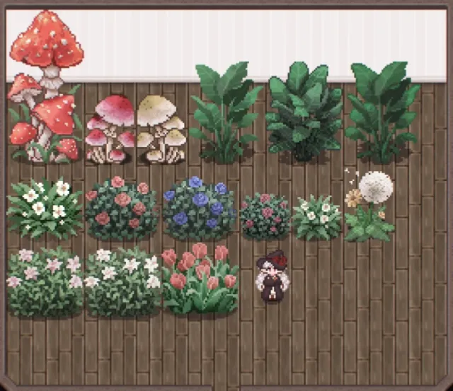 恩维亚的植物园