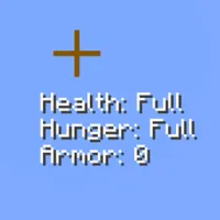 准星信息（HUD）