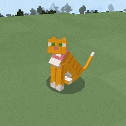 猫咪动力传送