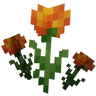 Marigolds