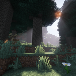 village NEO