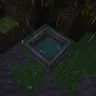 雨舞