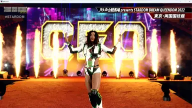 WWE 2K25 披头士的ReShade