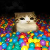 我们不得不再做一次。