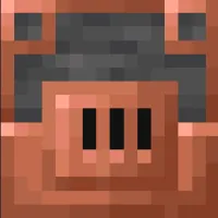 Enhancer