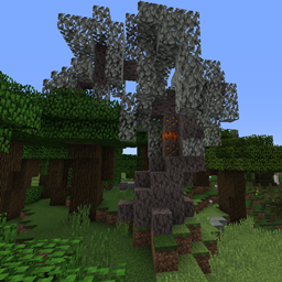 New Woods