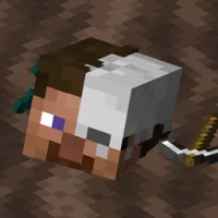Universal Graves