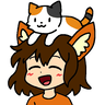 头上的猫