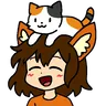 头上的猫