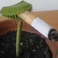 吧台