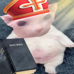 Bibble 质量优化