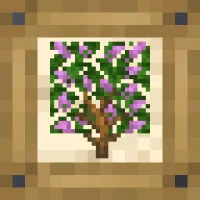 Natural Philosophy