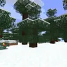 雪树