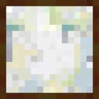 尼莫的画作