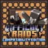 Difficult Raids - Stronghold Survival Edition