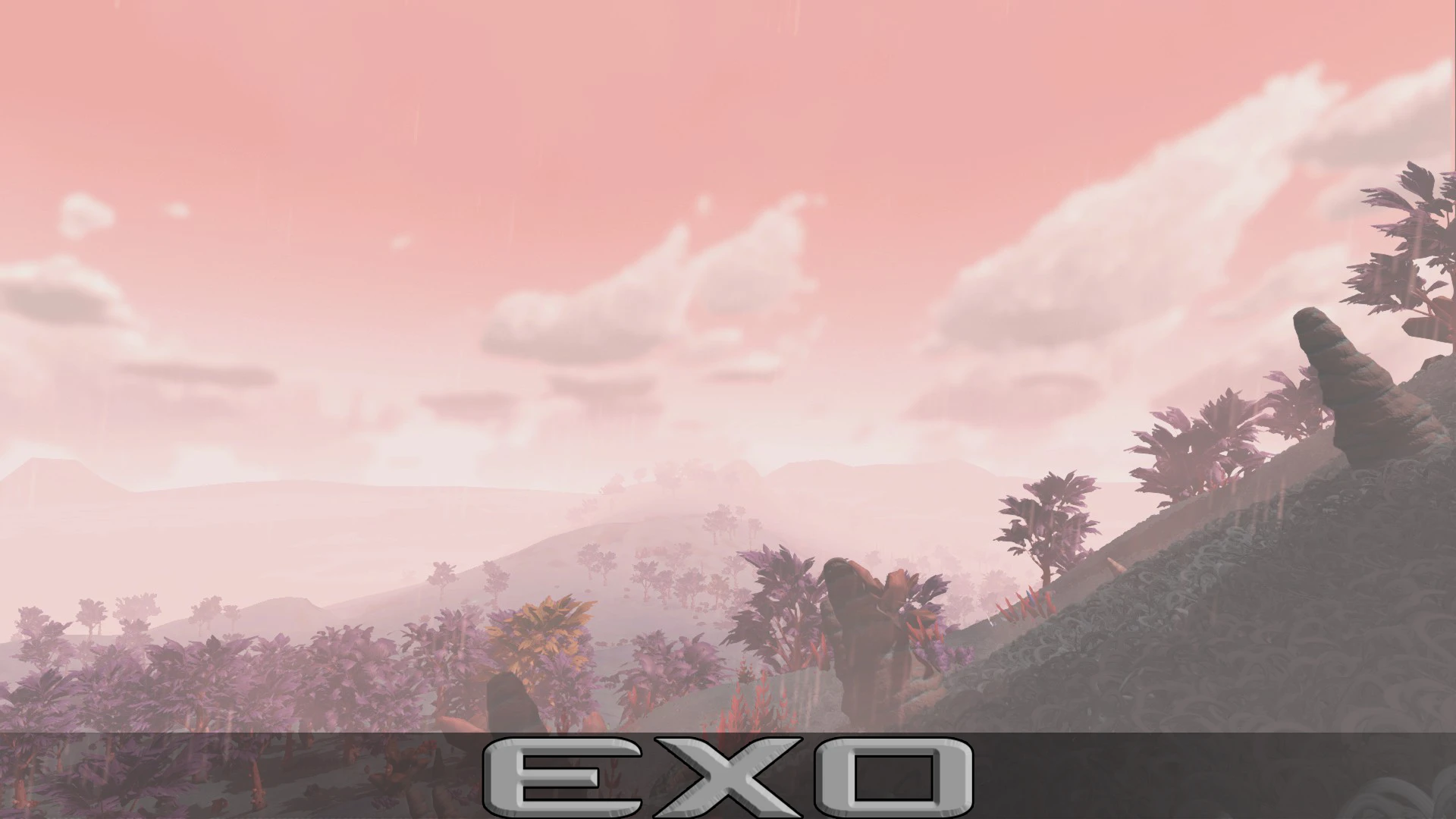 Exosolar和Babs的无痛雨