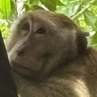 米舒的假期续集