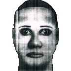 Brx的自定义Nextbot