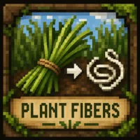植物纤维