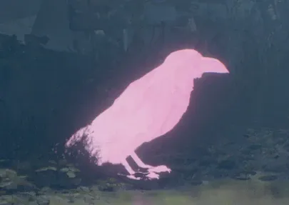 粉色动物
