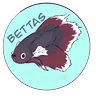 DragN的“Just Bettas”