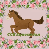 CCE 马术