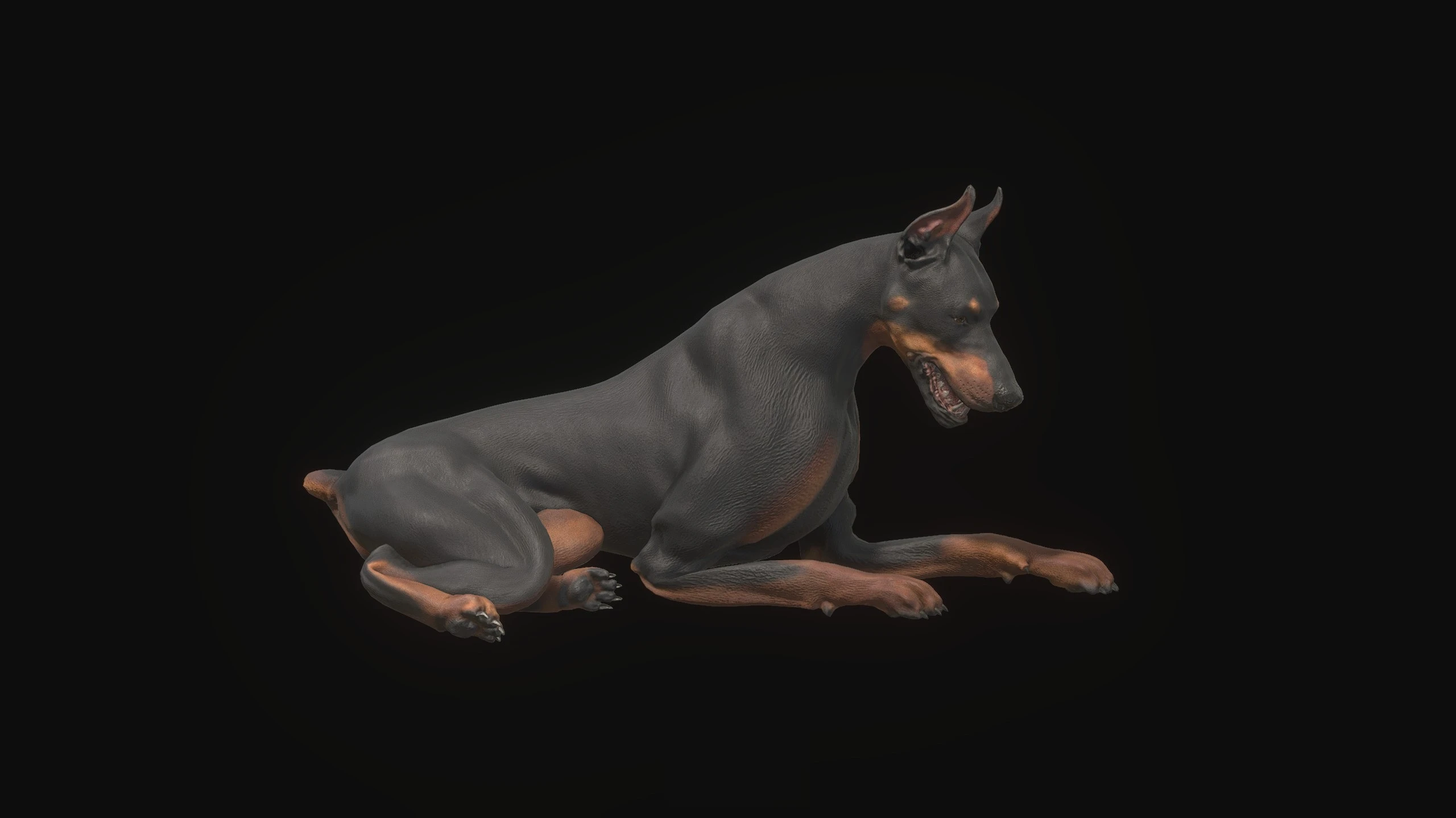 杜宾犬替换那只狗