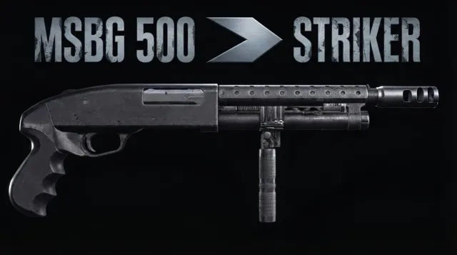 前锋到MSBG 500