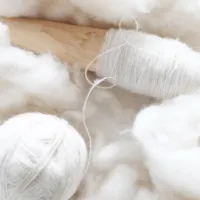 羊绒与雏菊之地