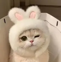ukiff的模组包