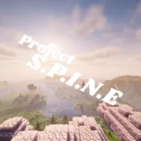项目 S.P.I.N.E