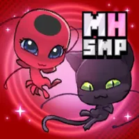 奇迹空洞SMP