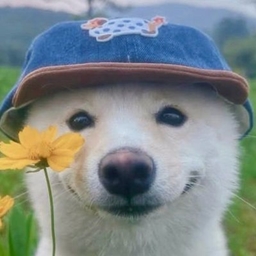 拿走我的香草