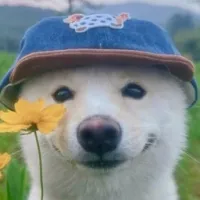 拿走我的香草