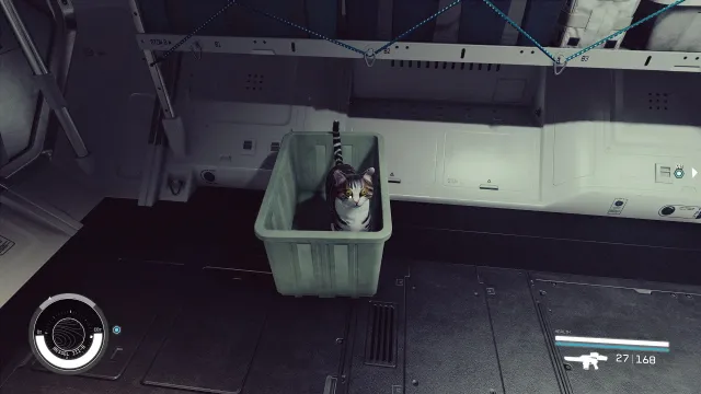 狡猾猫再次