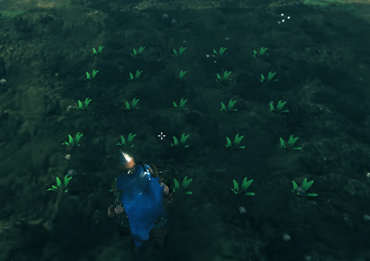 大规模种植