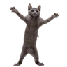 Jammies