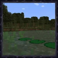 Through the lily pads, gently