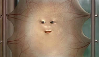 不完美的面部纹理