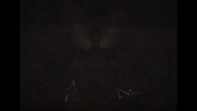 MLO启动视频