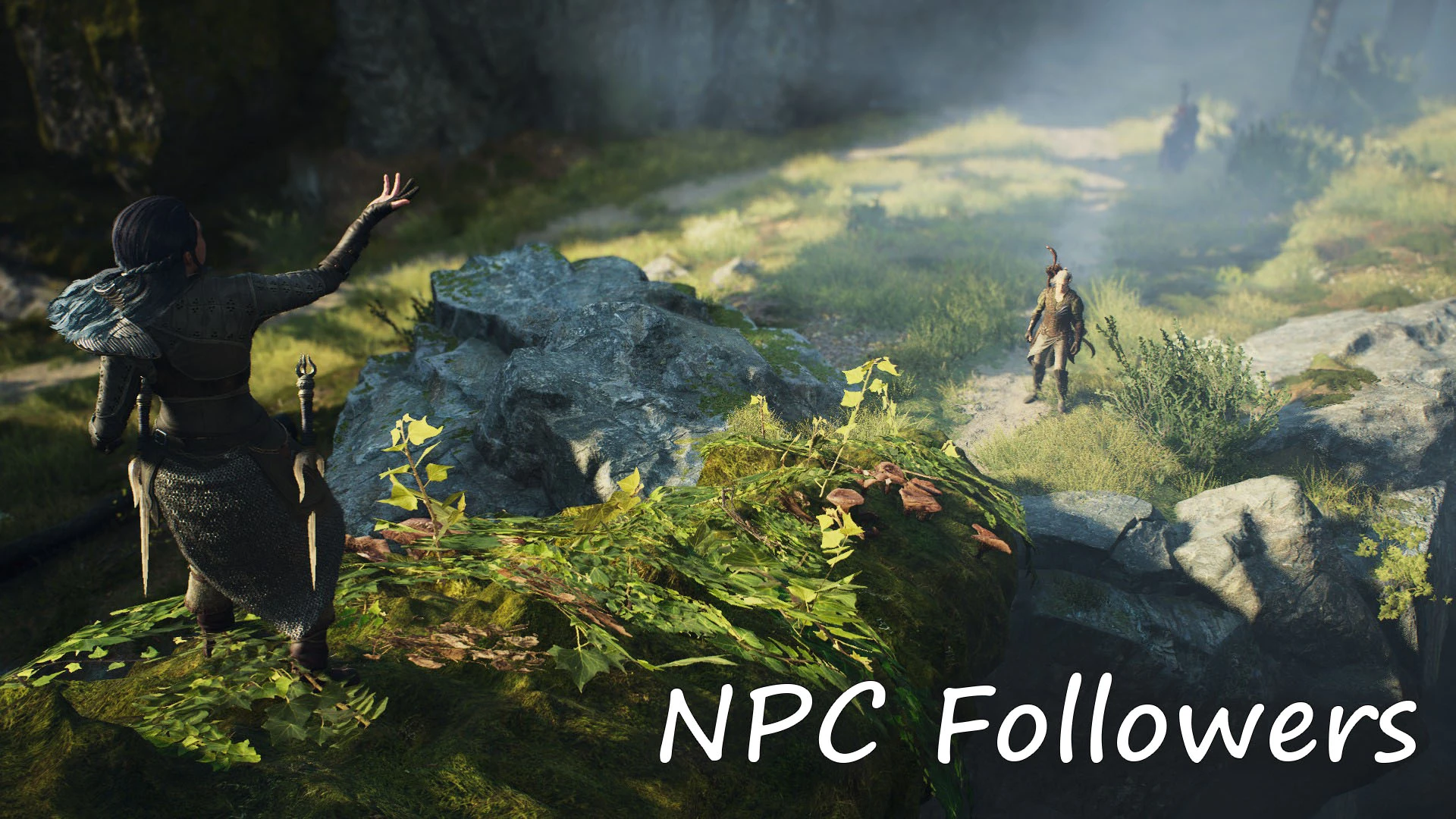 NPC追随者