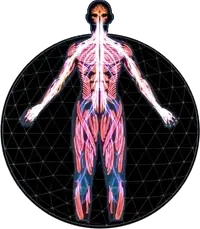 生物闪现调整