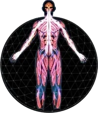 生物闪现调整