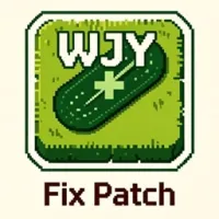 WJY的修复补丁
