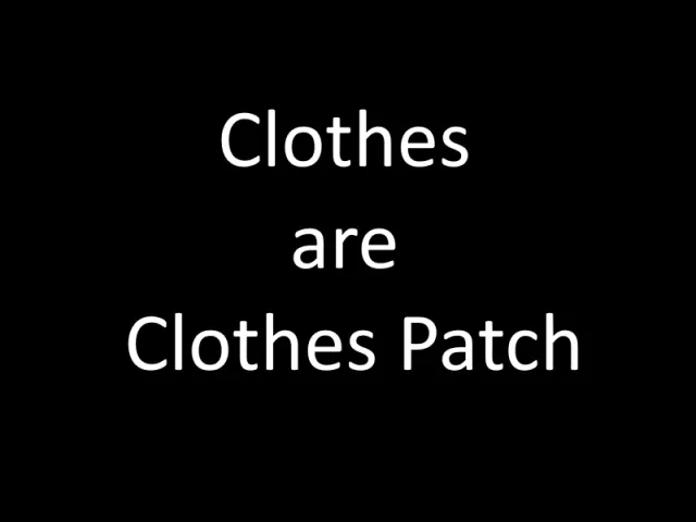 Zone的服装模组的服装即为服装补丁